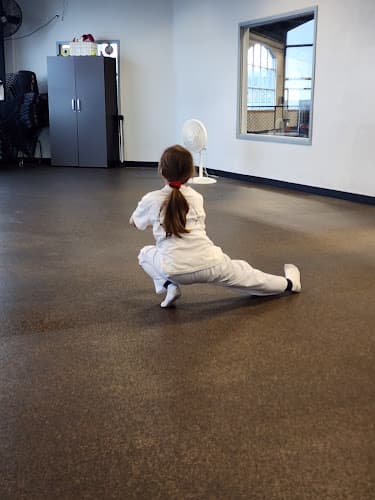 Snake River Chung Do Kwan - BJJ Gym in Inkom, Idaho